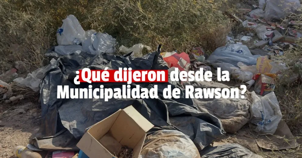 Rawson: desde la municipalidad desmienten la matanza de perros 