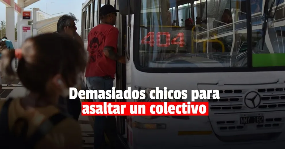 Asaltaron a un chofer de la línea 403: tres de los delincuentes son menores de edad