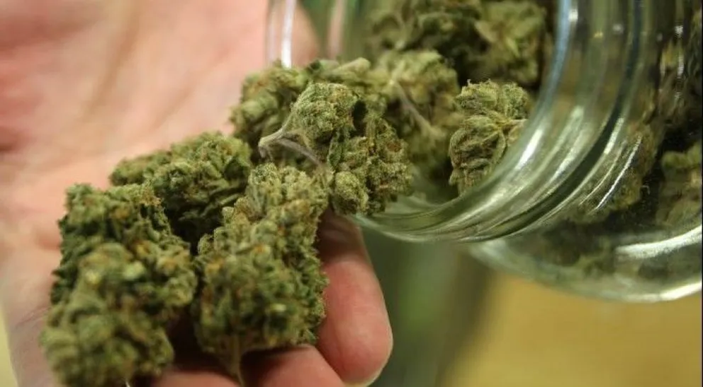 Insólito: llamó a la policía para denunciar un robo y quedó detenido por vender marihuana