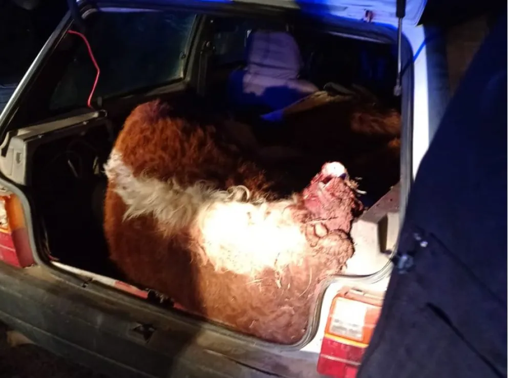 Tres meses de prisión preventiva para los cuatreros