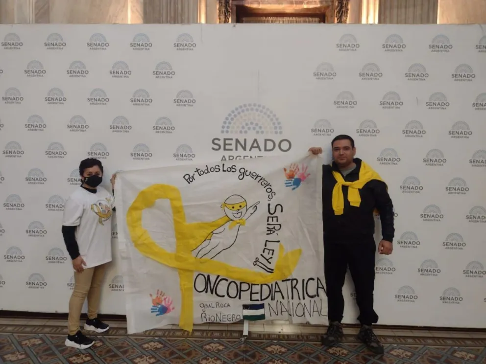 Río Negro dijo presente en el debate por la ley de Oncopediatría