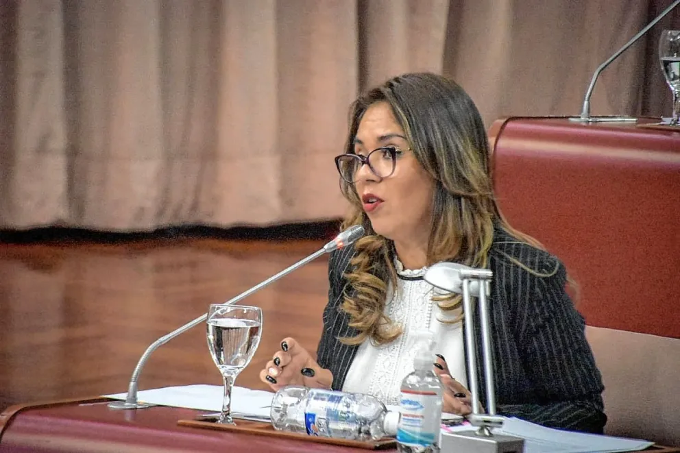 En la Legislatura reclamaron la ausencia del Ejecutivo por la interpelación sobre educación