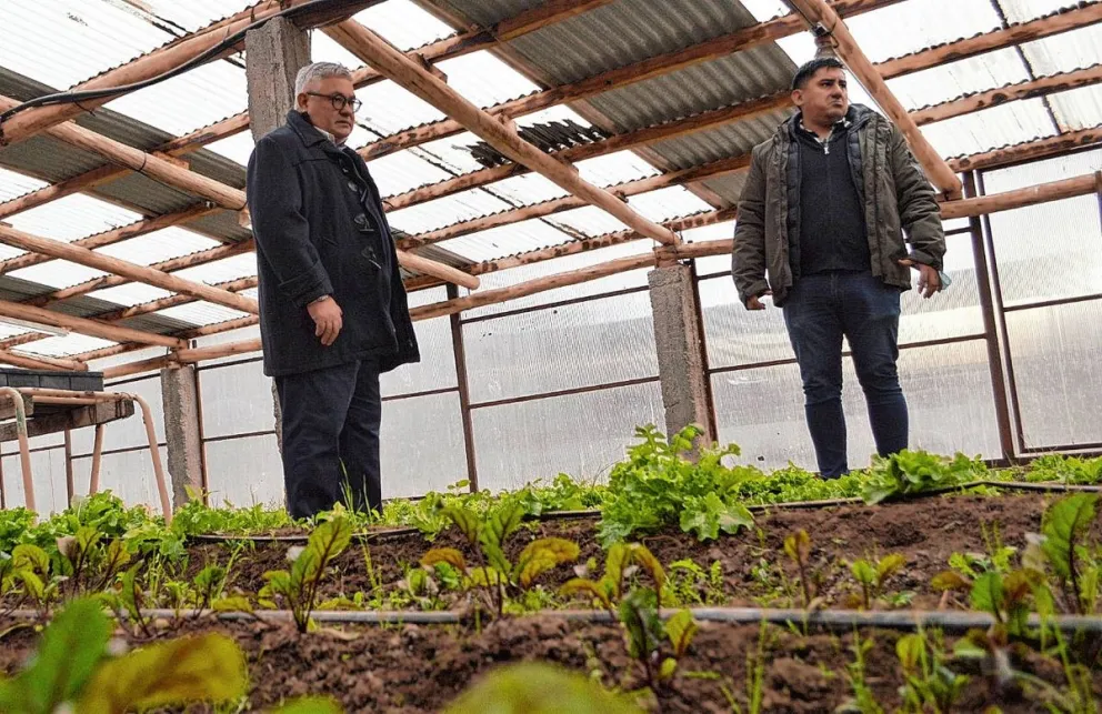 Chubut a la vanguardia en Sanidad Vegetal