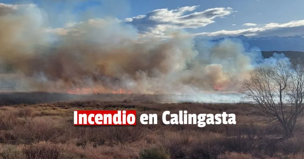 Importante incendio de pastizales en Calingasta