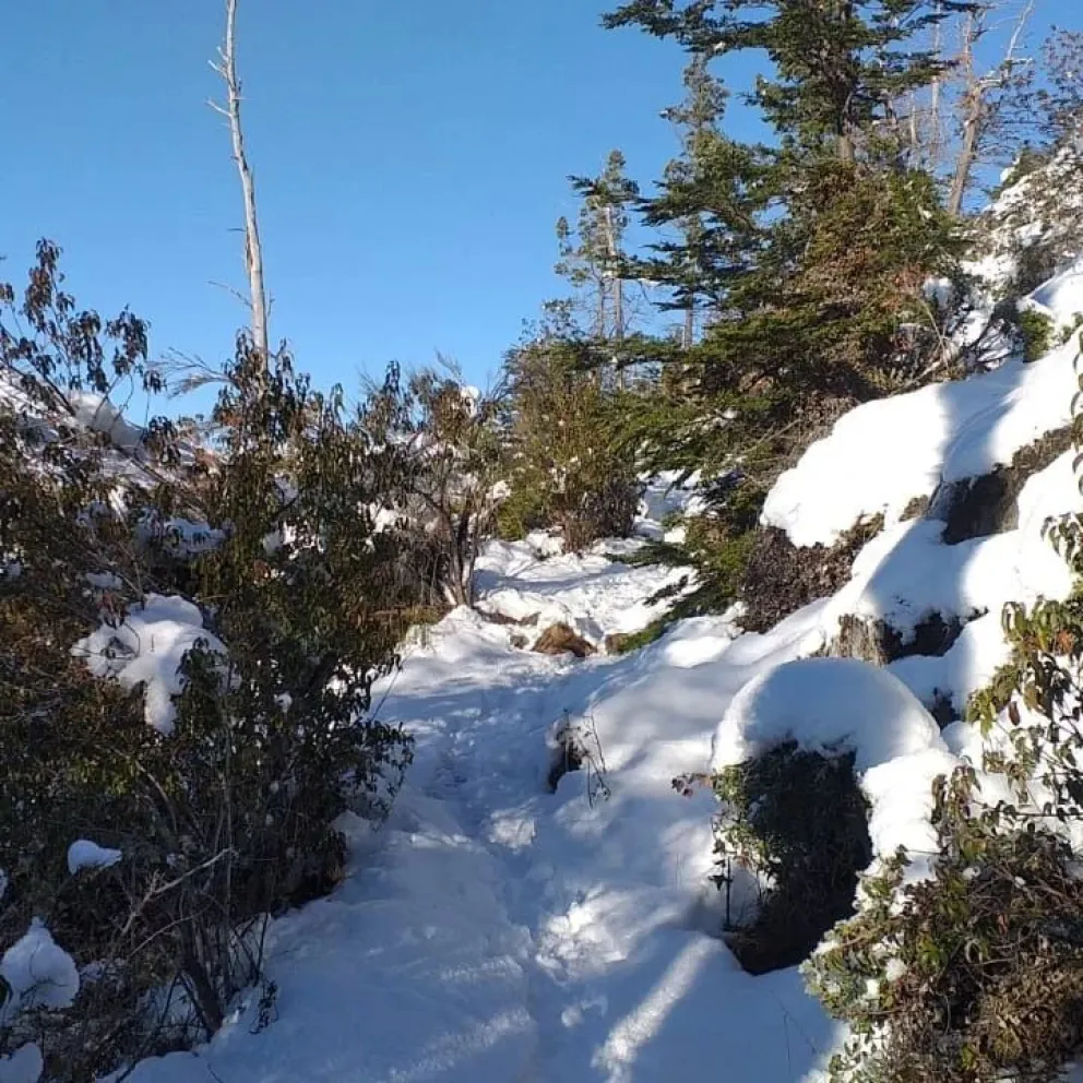 Ingresaban a un sendero de montaña en zapatillas y sin ropa para nieve