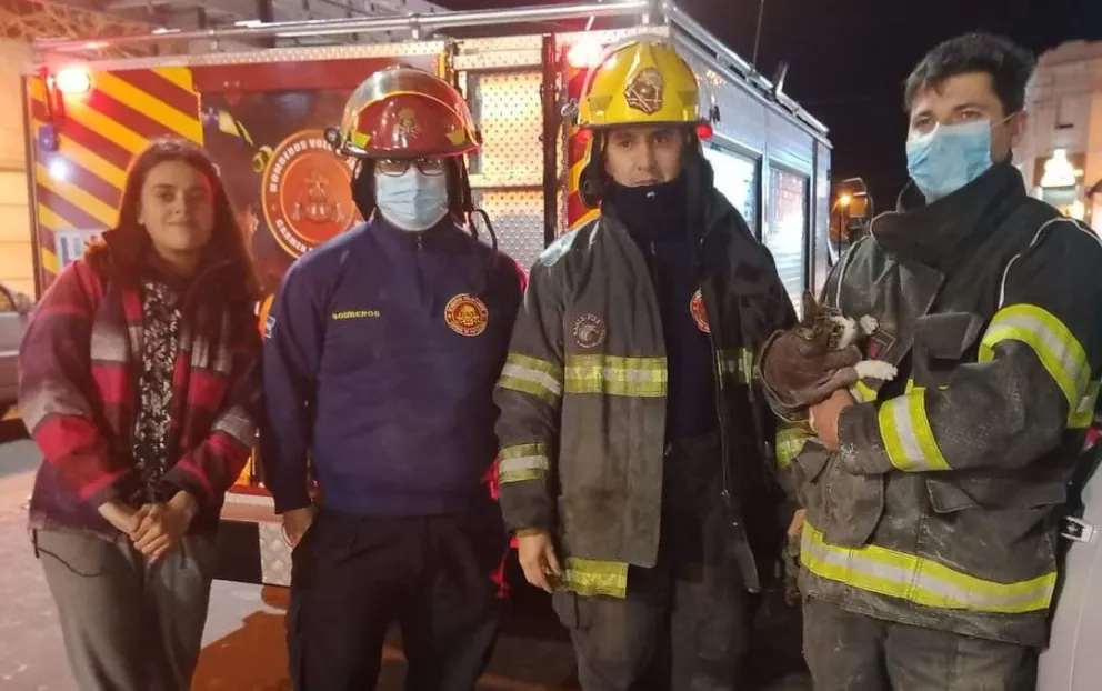 Llevaron a un gato adentro de un motor de Viedma a Patagones y fue rescatado por bomberos