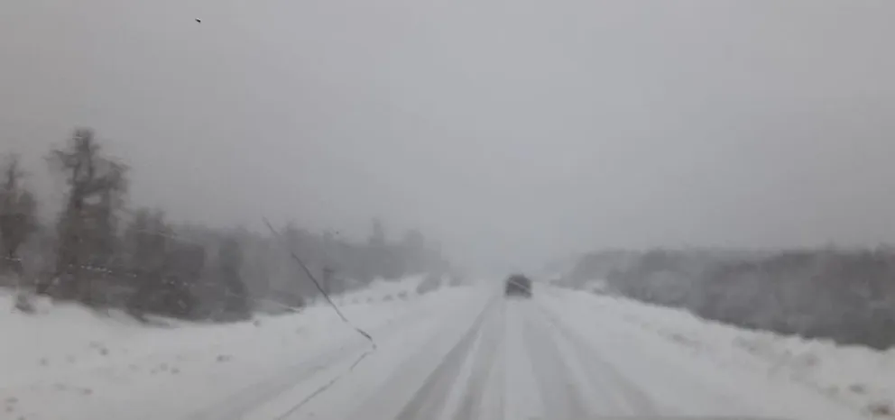 Extrema precaución para circular por ruta 40 entre Bariloche y El Bolsón