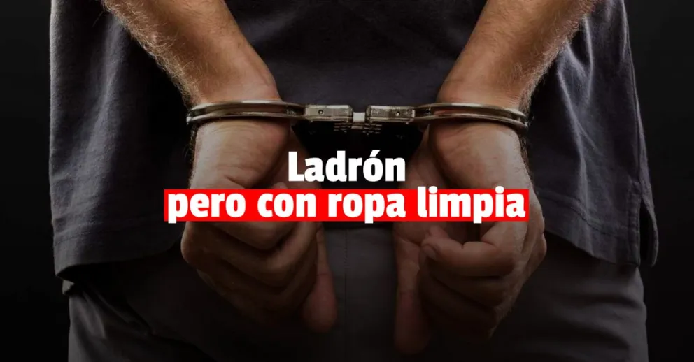 Vio a un ladrón en el fondo de su casa: le estaba robando el lavarropas