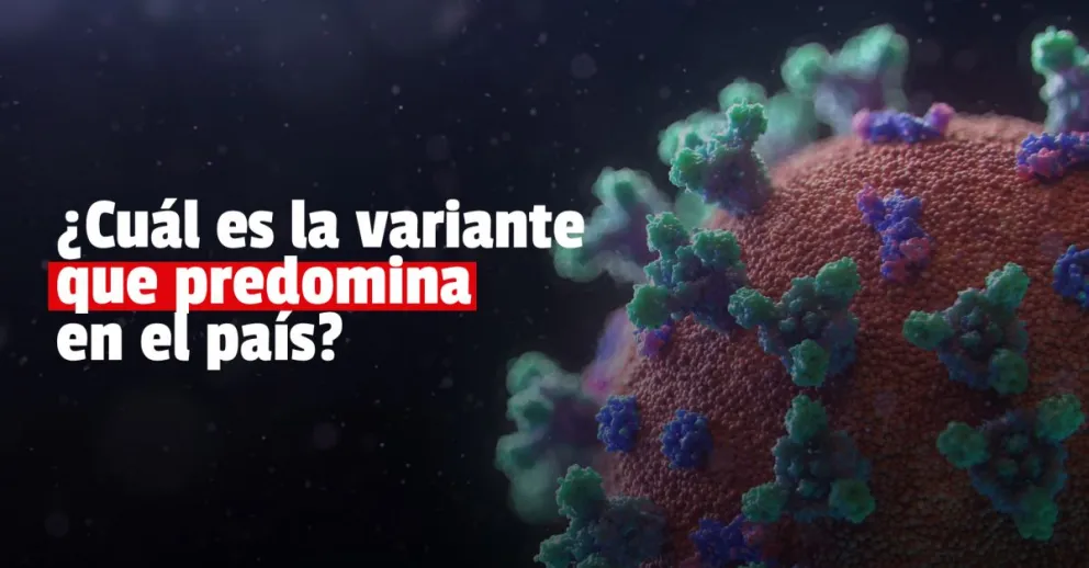 Covid-19: cuál es la variante que más circula en el país