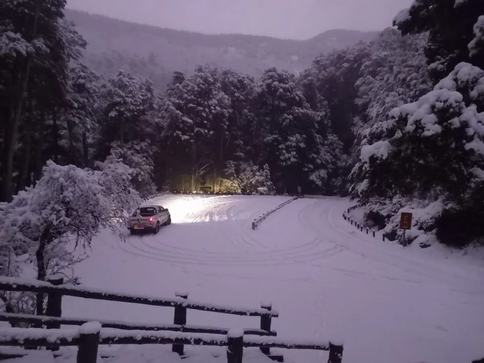 Difundieron el estado de sendas y caminos dentro del Parque Nacional Nahuel Huapi