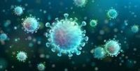 Norovirus: la enfermedad que tiene en vilo a la provincia ¿Qué es? ¿Cómo prevenirlo?