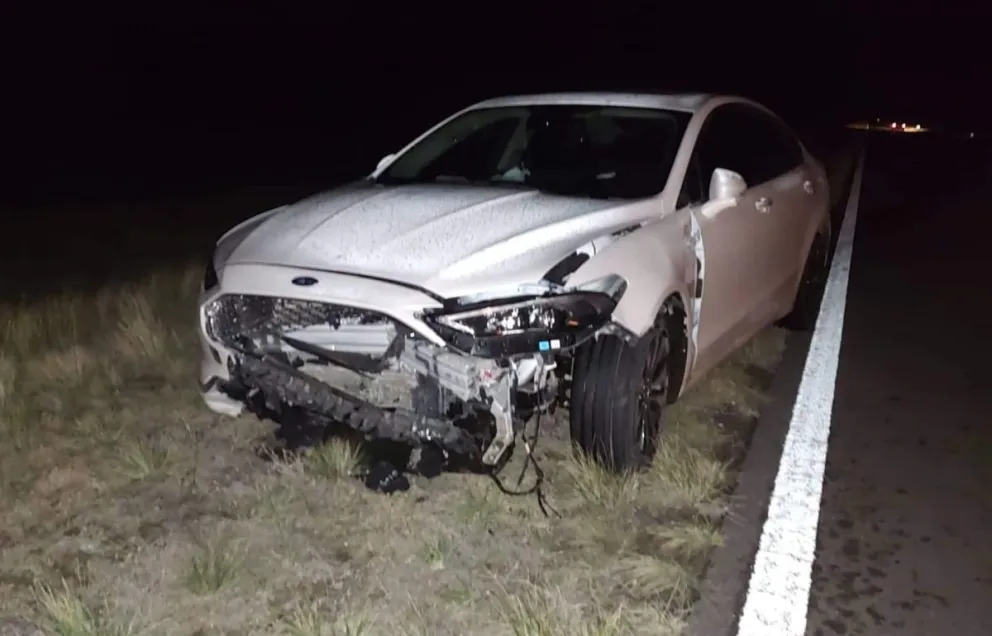 Un jabalí pudo provocar una tragedia