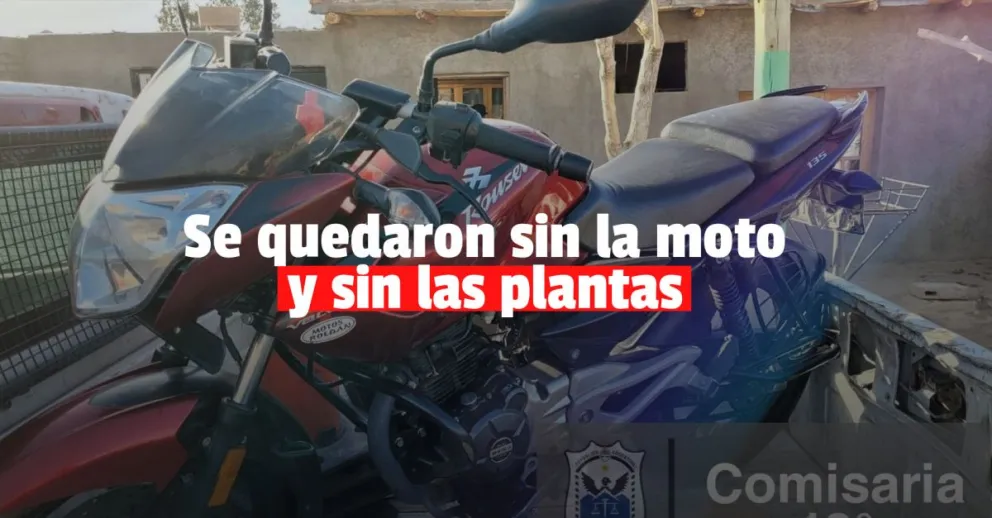 Robaron una moto, lograron escapar pero les encontraron droga