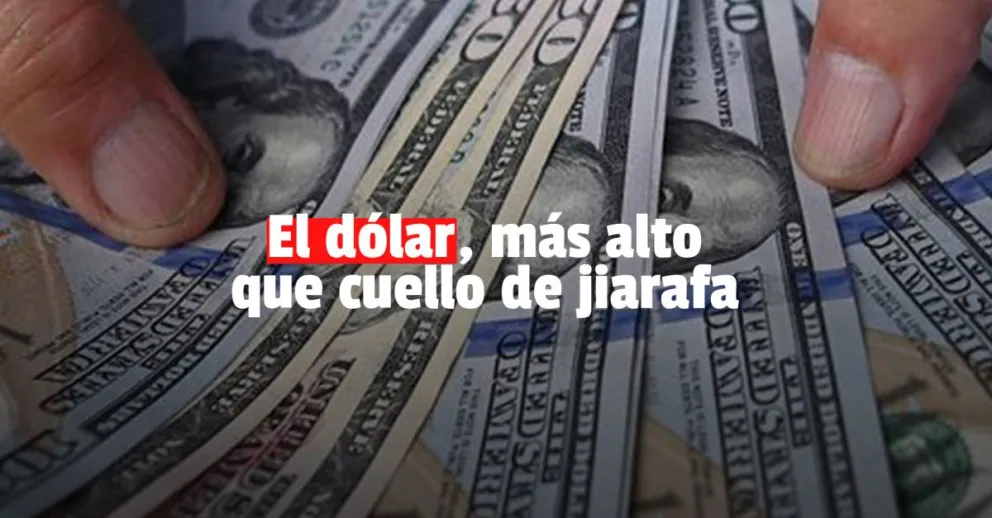 El dólar blue abrió a $270 tras la designación de Batakis