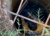Rescatan con vida a un perrito que estaba atrapado en una alcantarilla en Culiacán