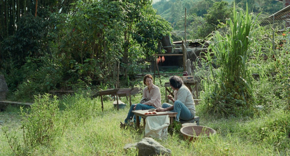 Crítica de “Memoria”: la dimensión espiritual de Apichatpong Weerasethakul y Tilda Swinton
