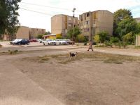 Desbordes cloacales en Viedma: “La materia fecal sale por la rejilla”