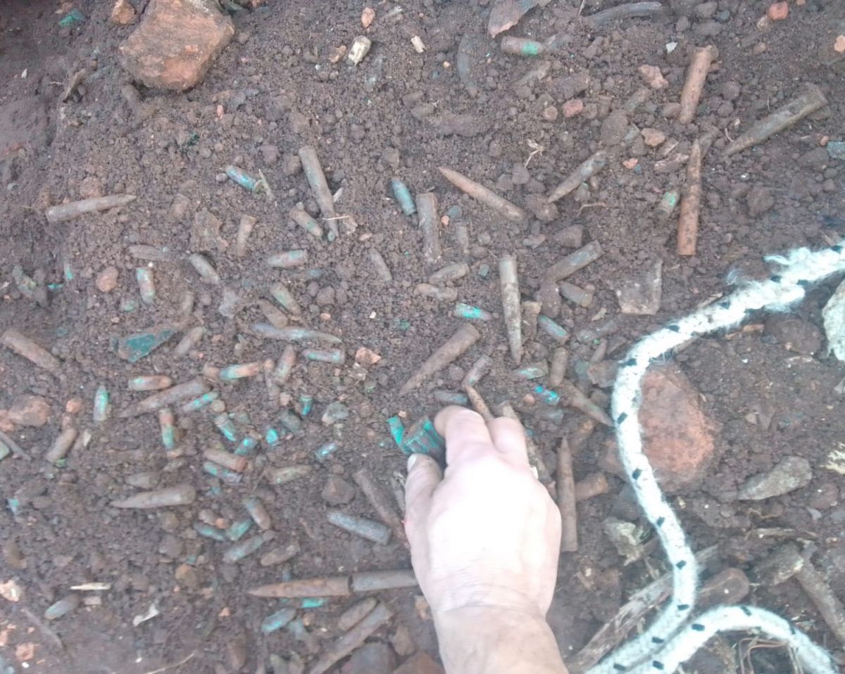 Posadas: sacaban el tronco de un árbol viejo y encontraron munición de grueso calibre 