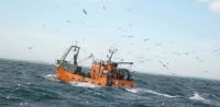Nueva Ley de Pesca para Río Negro: “El fin es poder lograr una legislación actualizada”