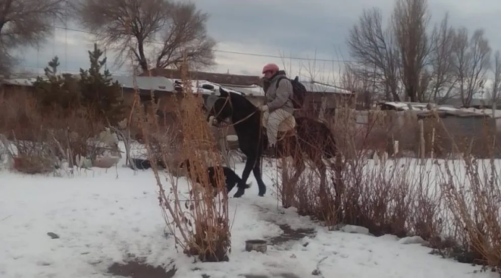 Gran esfuerzo: un estudiante de Laguna Blanca terminó las clases, entregó sus tareas y volvió al campo a caballo