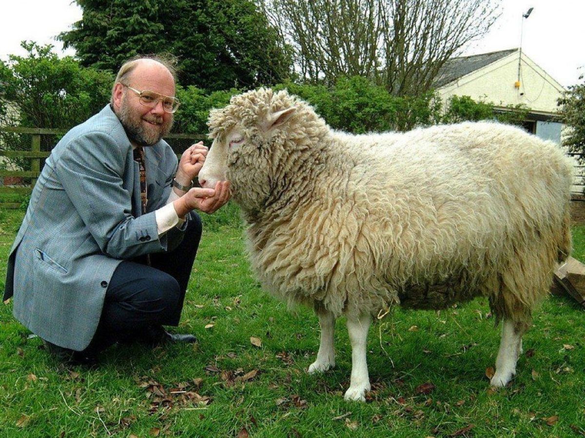Hace 26 años nacía Dolly, el primer animal clonado del mundo