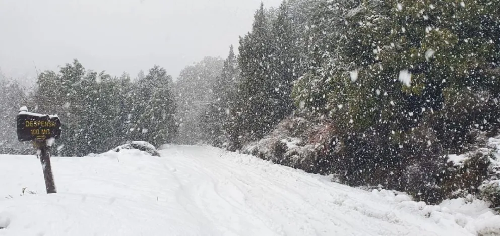 Mantienen la obligatoriedad de uso de cadenas entre Bariloche y El Bolsón