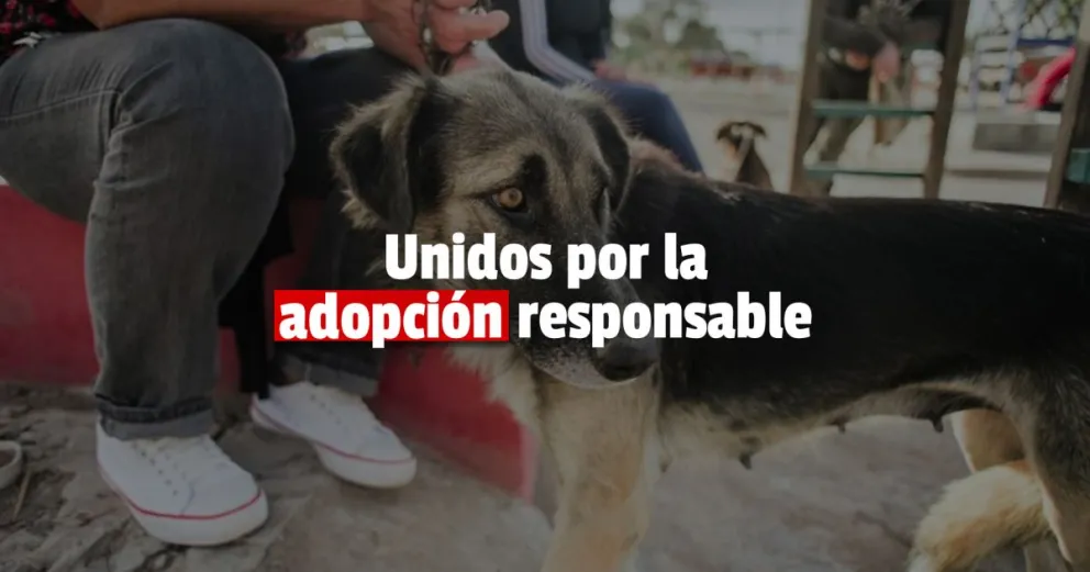 Conocé como trabaja el quirófano propio del Paraje Difunta Correa 