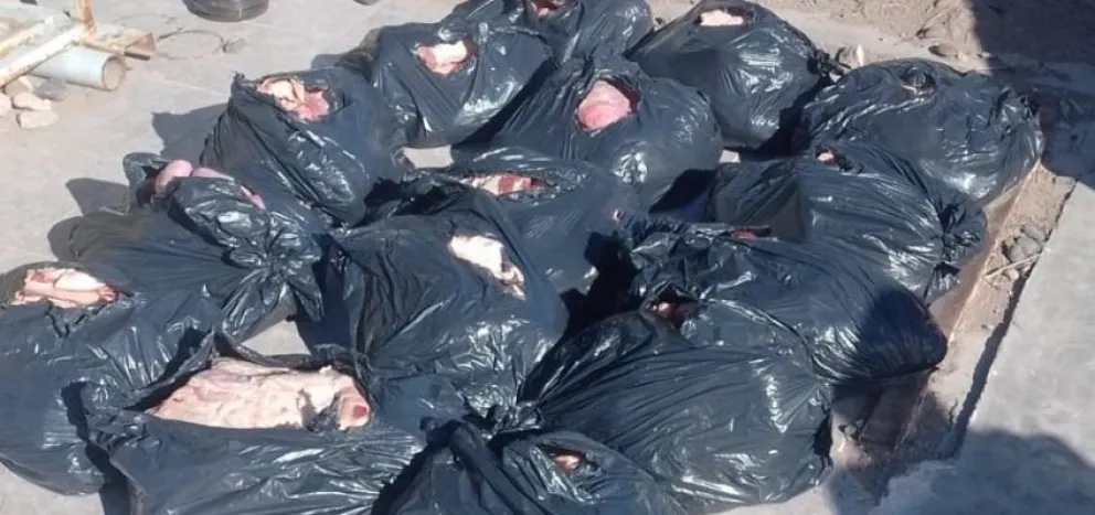 ¡Como si fuera barata!: decomisan 220 kilos de carne transportada de manera irregular