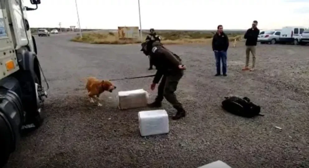 El camionero detenido con 78 kilos de marihuana fue liberado por la Justicia
