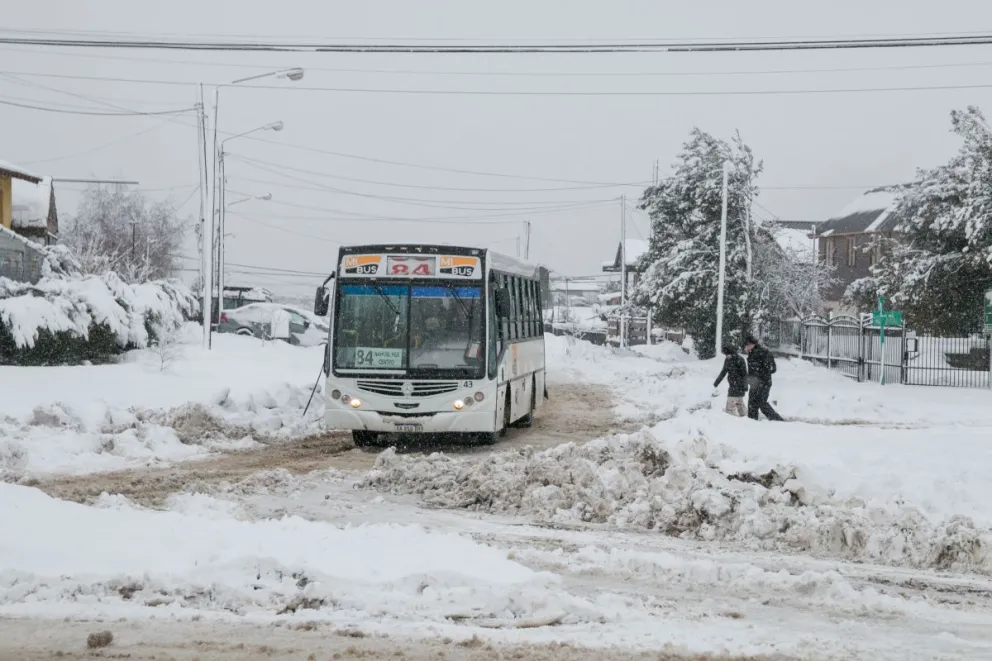 El precio del boleto en Bariloche podría costar menos de 96 pesos