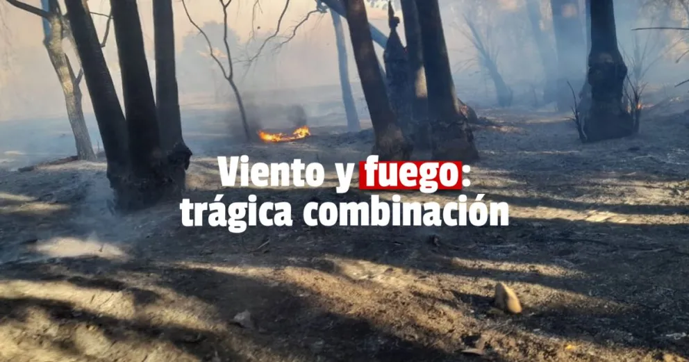 Viento Zonda: entre las 12 y las 17.30 horas se intervinieron 23 incendios en San Juan 