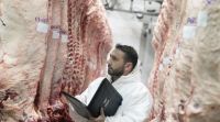 Aumento del dólar: advierten subas en el precio de la carne y menos venta de ganado 