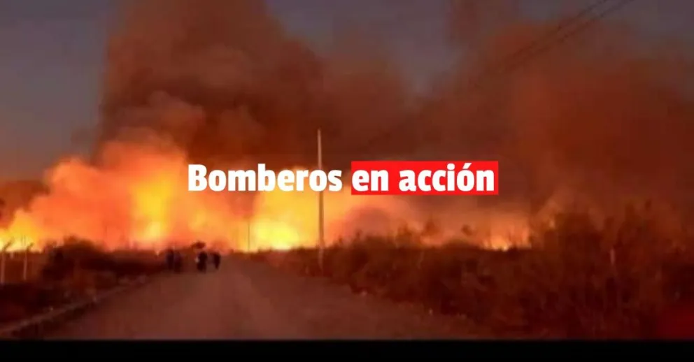 San Juan: el Parque Sarmiento volvió a ser noticia por  incendiarse otra vez