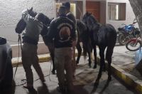 La Banda: recuperan caballos que iban a ser faenados y comercializar su carne 