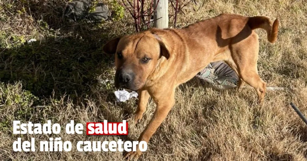 Estado de salud del niño caucetero