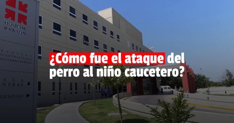 Habló la abuela del nene herido por el perro: “Ha perdido una parte del cuero cabelludo”