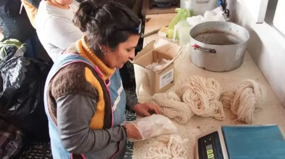 La creadora del poncho rionegrino trabaja junto a artesanas de la Región Sur