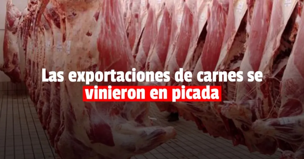 Las exportaciones de carnes cayeron más de un 7%