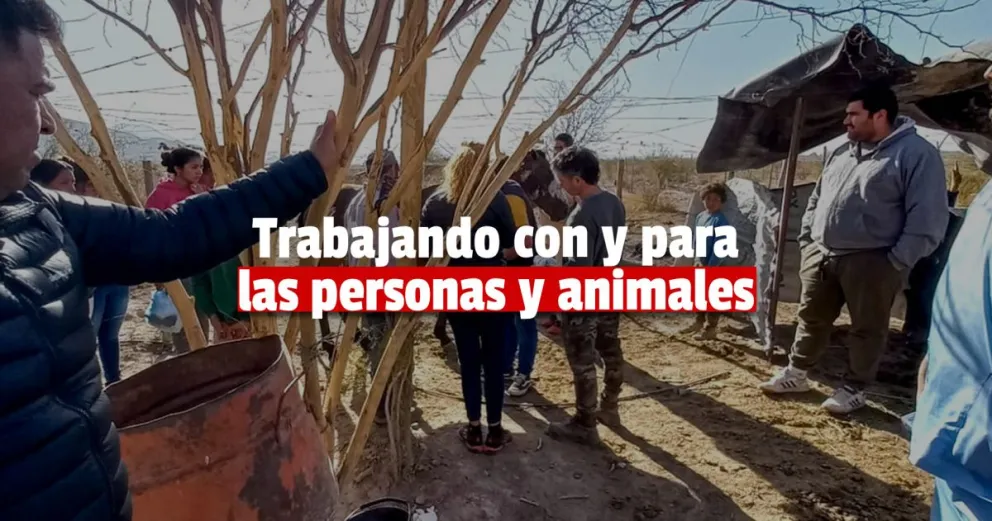 Zonda: Salud Pública realizó un operativo en el sector afectado por el incendio